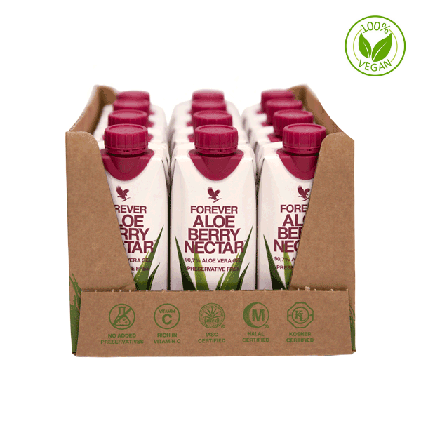 Aloe Berry Nectar Mini (330ML X 12ΤΜΧ)